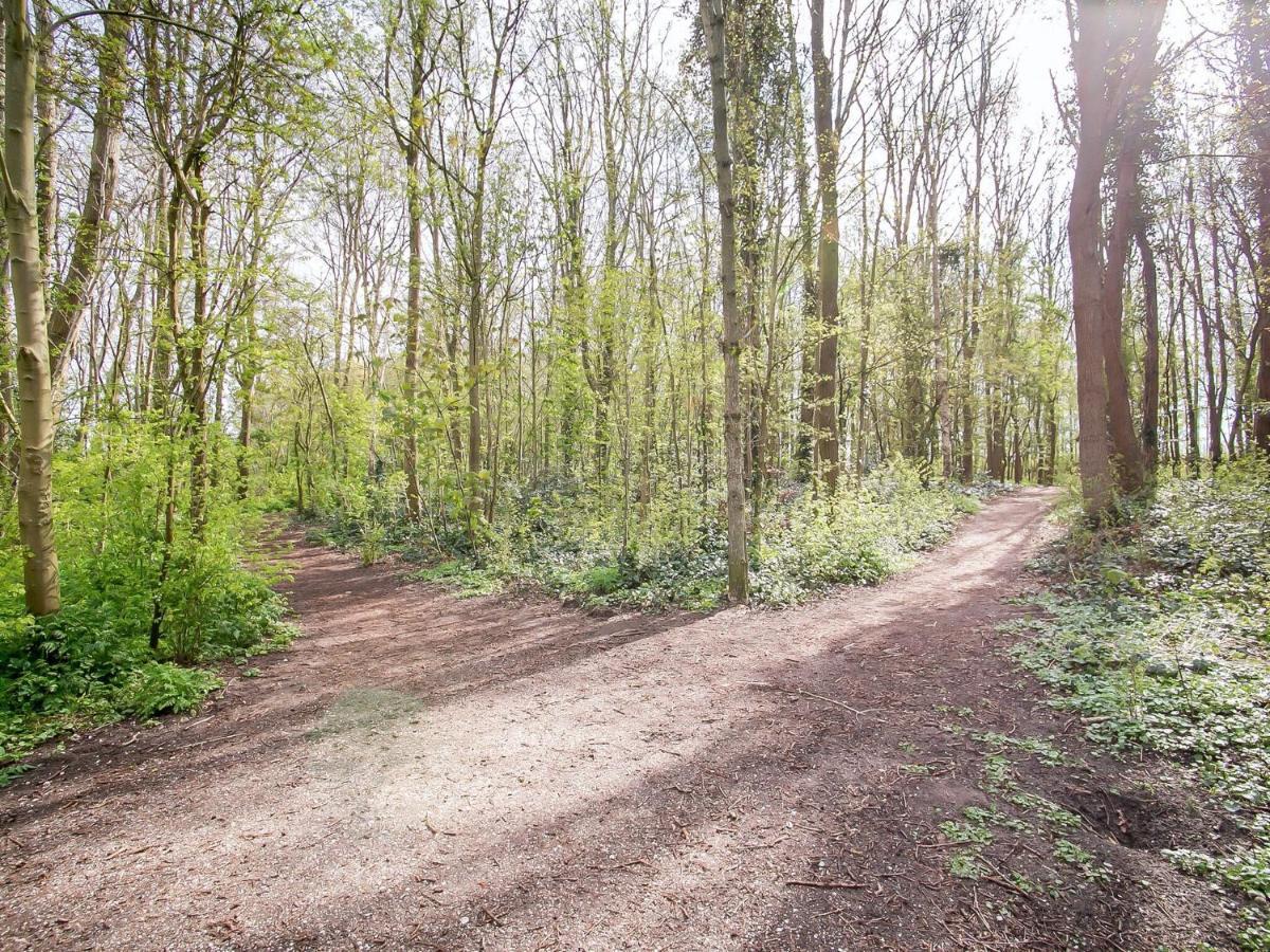 Lovely Bungalow In Noordwijkerhout With Garden ภายนอก รูปภาพ