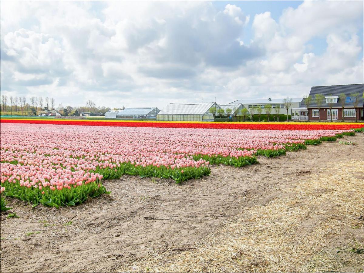 Lovely Bungalow In Noordwijkerhout With Garden ภายนอก รูปภาพ